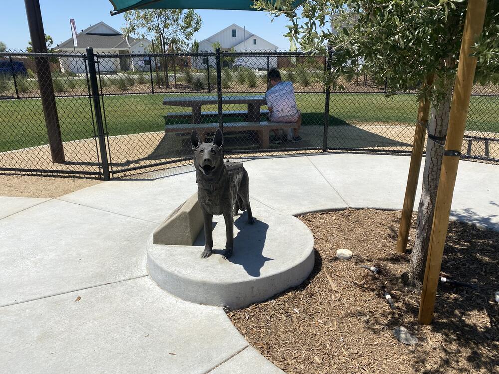 McAllen Dog Park